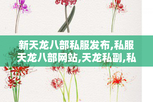 新天龙八部私服发布,私服天龙八部网站,天龙私副,私服天龙八部网站