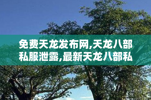 免费天龙发布网,天龙八部私服泄露,最新天龙八部私服,天龙八部私服泄露