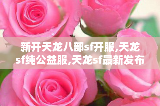 新开天龙八部sf开服,天龙sf纯公益服,天龙sf最新发布网,天龙sf纯公益服