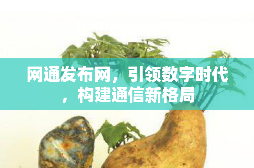 网通发布网，引领数字时代，构建通信新格局