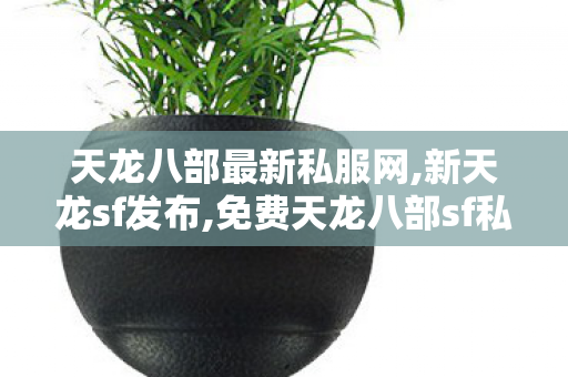 天龙八部最新私服网,新天龙sf发布,免费天龙八部sf私服,新天龙sf发布