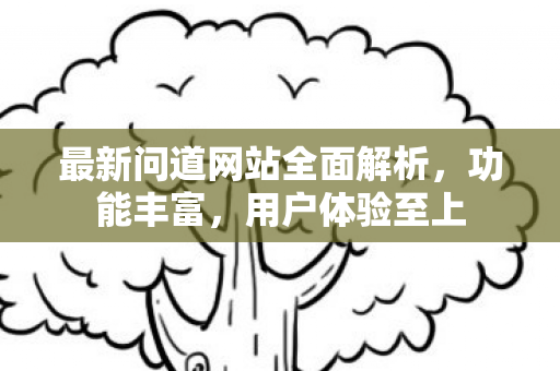 最新问道网站全面解析，功能丰富，用户体验至上