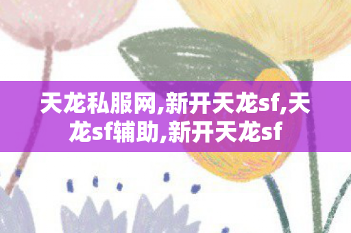 天龙私服网,新开天龙sf,天龙sf辅助,新开天龙sf