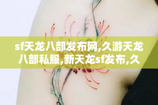 sf天龙八部发布网,久游天龙八部私服,新天龙sf发布,久游天龙八部私服