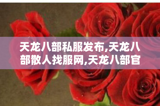 天龙八部私服发布,天龙八部散人找服网,天龙八部官网sf,天龙八部散人找服网