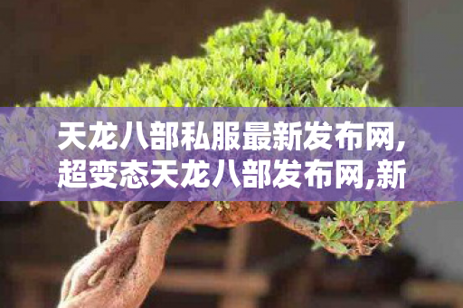 天龙八部私服最新发布网,超变态天龙八部发布网,新开天龙sf发布,超变态天龙八部发布网
