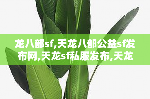 龙八部sf,天龙八部公益sf发布网,天龙sf私服发布,天龙八部公益sf发布网