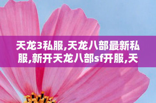 天龙3私服,天龙八部最新私服,新开天龙八部sf开服,天龙八部最新私服
