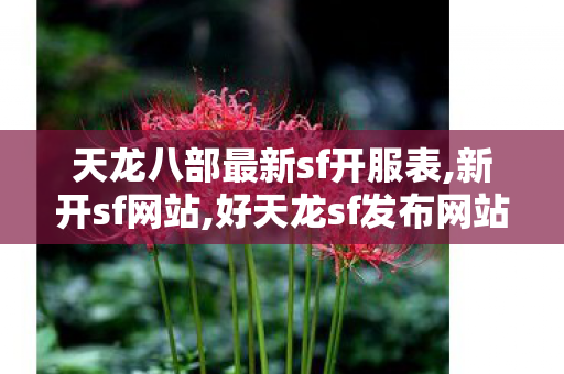 天龙八部最新sf开服表,新开sf网站,好天龙sf发布网站,新开sf网站