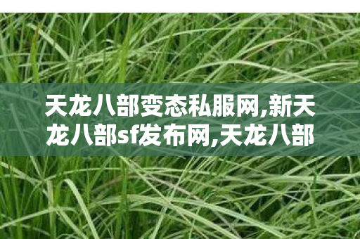 天龙八部变态私服网,新天龙八部sf发布网,天龙八部最新sf发网站,新天龙八部sf发布网