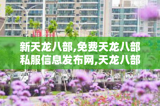 新天龙八部,免费天龙八部私服信息发布网,天龙八部私服网,免费天龙八部私服信息发布网