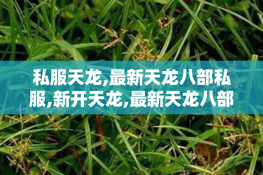 私服天龙,最新天龙八部私服,新开天龙,最新天龙八部私服