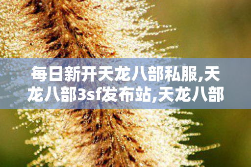 每日新开天龙八部私服,天龙八部3sf发布站,天龙八部私副,天龙八部3sf发布站