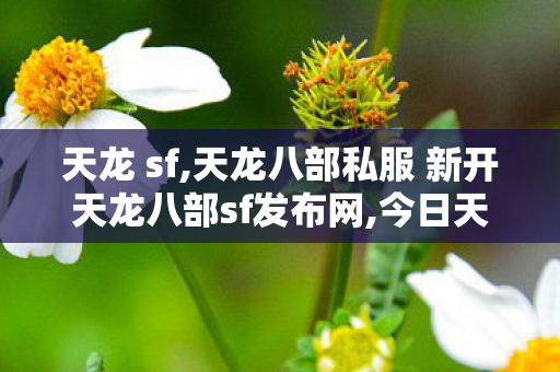 天龙 sf,天龙八部私服 新开天龙八部sf发布网,今日天龙八部sf,天龙八部私服 新开天龙八部sf发布网