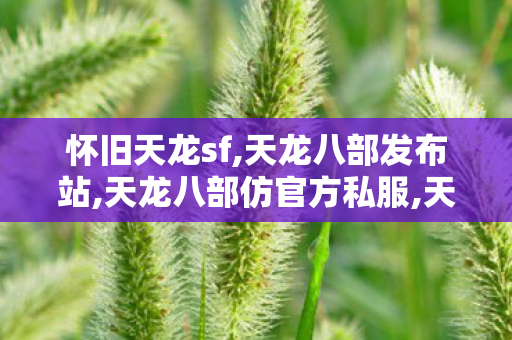 怀旧天龙sf,天龙八部发布站,天龙八部仿官方私服,天龙八部发布站