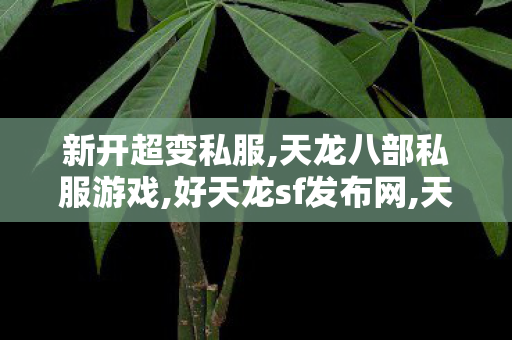 新开超变私服,天龙八部私服游戏,好天龙sf发布网,天龙八部私服游戏