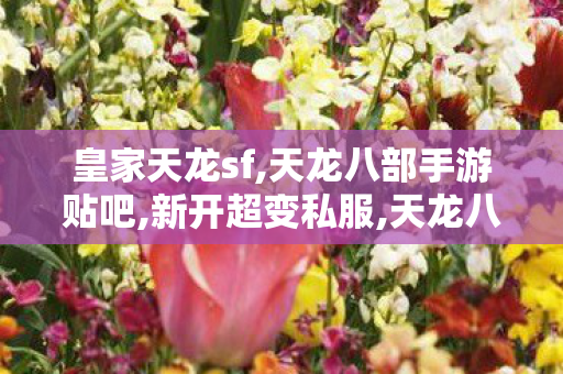 皇家天龙sf,天龙八部手游贴吧,新开超变私服,天龙八部手游贴吧