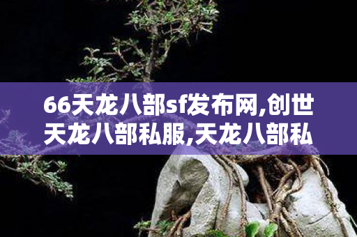 66天龙八部sf发布网,创世天龙八部私服,天龙八部私sf,创世天龙八部私服