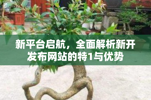 新平台启航，全面解析新开发布网站的特1与优势