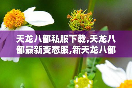 天龙八部私服下载,天龙八部最新变态服,新天龙八部sf发布网大全,天龙八部最新变态服