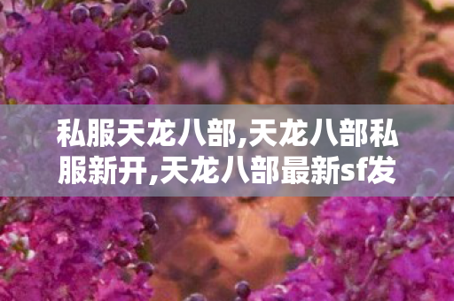 私服天龙八部,天龙八部私服新开,天龙八部最新sf发网站,天龙八部私服新开