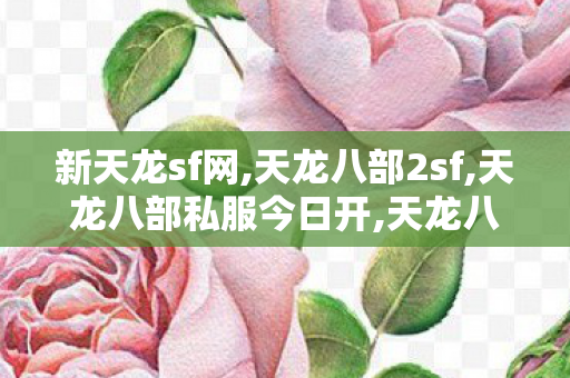 新天龙sf网,天龙八部2sf,天龙八部私服今日开,天龙八部2sf