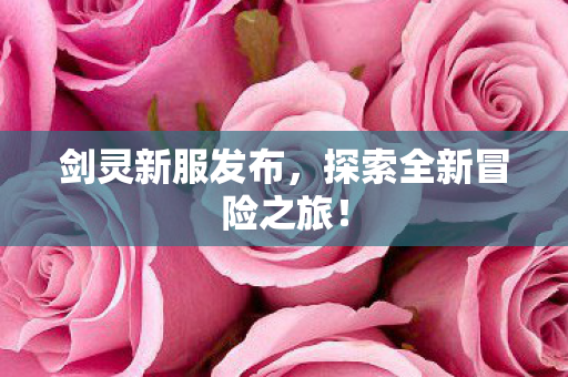 剑灵新服发布，探索全新冒险之旅！