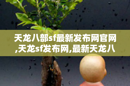 天龙八部sf最新发布网官网,天龙sf发布网,最新天龙八部私服,天龙sf发布网