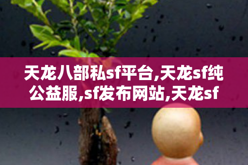 天龙八部私sf平台,天龙sf纯公益服,sf发布网站,天龙sf纯公益服