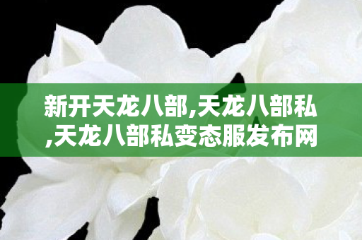 新开天龙八部,天龙八部私,天龙八部私变态服发布网公益服,天龙八部私