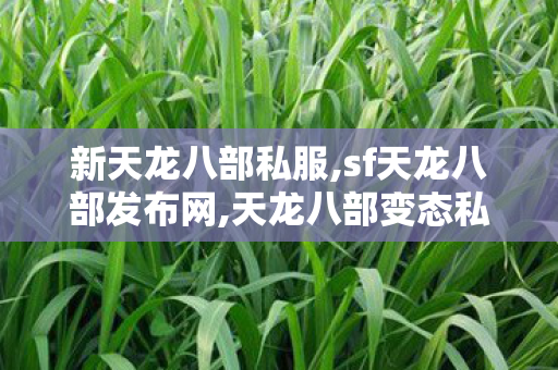 新天龙八部私服,sf天龙八部发布网,天龙八部变态私服网,sf天龙八部发布网
