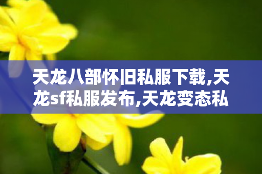 天龙八部怀旧私服下载,天龙sf私服发布,天龙变态私服,天龙sf私服发布