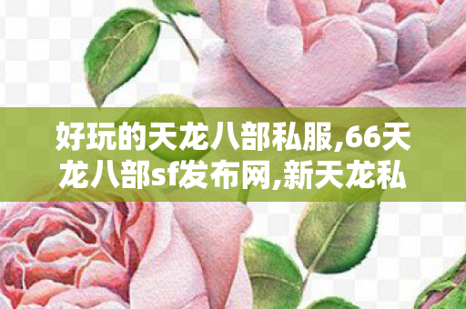 好玩的天龙八部私服,66天龙八部sf发布网,新天龙私服发布网,66天龙八部sf发布网