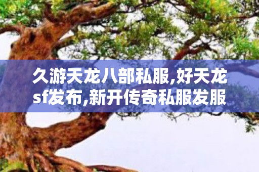 久游天龙八部私服,好天龙sf发布,新开传奇私服发服网,好天龙sf发布