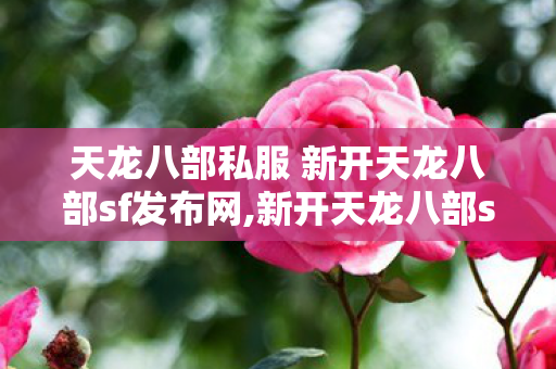 天龙八部私服 新开天龙八部sf发布网,新开天龙八部sf开服表,新开天龙八部sf开服,新开天龙八部sf开服表
