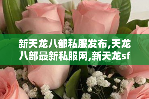 新天龙八部私服发布,天龙八部最新私服网,新天龙sf网,天龙八部最新私服网