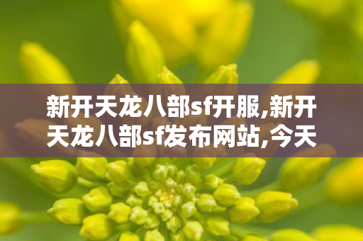 新开天龙八部sf开服,新开天龙八部sf发布网站,今天新开天龙sf,新开天龙八部sf发布网站