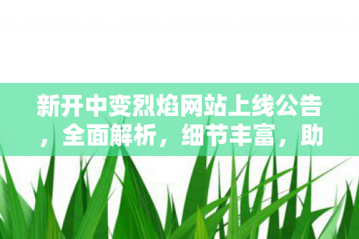 新开中变烈焰网站上线公告，全面解析，细节丰富，助您畅游网络新世界