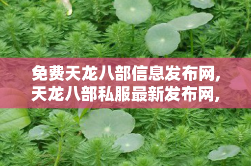 免费天龙八部信息发布网,天龙八部私服最新发布网,好天龙,天龙八部私服最新发布网