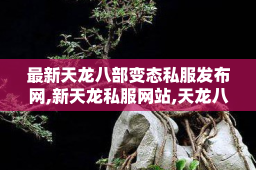 最新天龙八部变态私服发布网,新天龙私服网站,天龙八部手游官方,新天龙私服网站