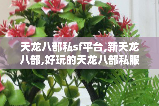 天龙八部私sf平台,新天龙八部,好玩的天龙八部私服,新天龙八部