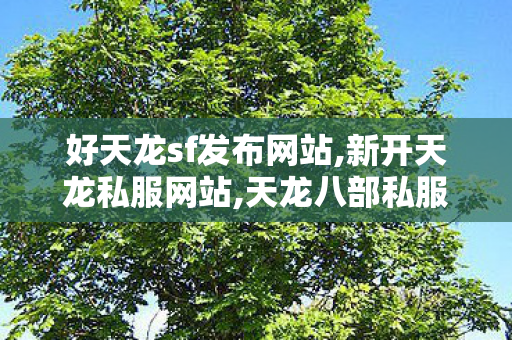 好天龙sf发布网站,新开天龙私服网站,天龙八部私服发布,新开天龙私服网站