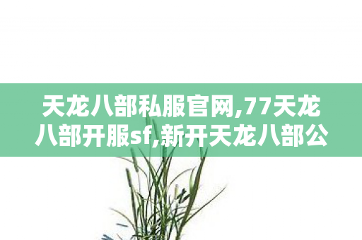 天龙八部私服官网,77天龙八部开服sf,新开天龙八部公益私服,77天龙八部开服sf