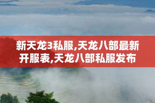 新天龙3私服,天龙八部最新开服表,天龙八部私服发布站,天龙八部最新开服表