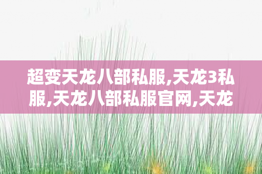 超变天龙八部私服,天龙3私服,天龙八部私服官网,天龙3私服