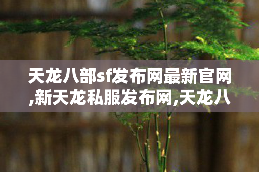 天龙八部sf发布网最新官网,新天龙私服发布网,天龙八部最新开服sf公益服,新天龙私服发布网
