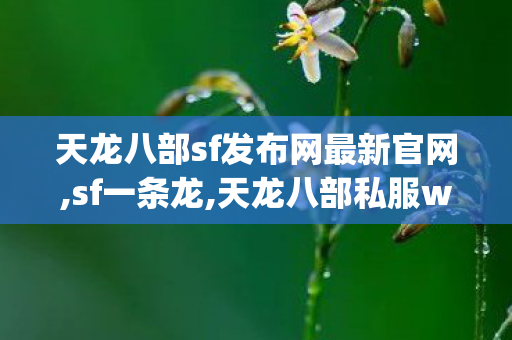 天龙八部sf发布网最新官网,sf一条龙,天龙八部私服wpe教程,sf一条龙