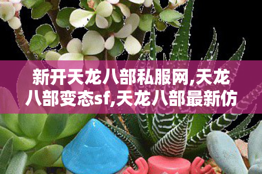新开天龙八部私服网,天龙八部变态sf,天龙八部最新仿官sf,天龙八部变态sf