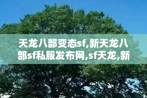 天龙八部变态sf,新天龙八部sf私服发布网,sf天龙,新天龙八部sf私服发布网