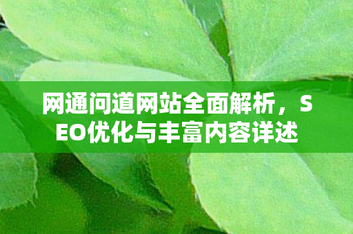 网通问道网站全面解析，SEO优化与丰富内容详述